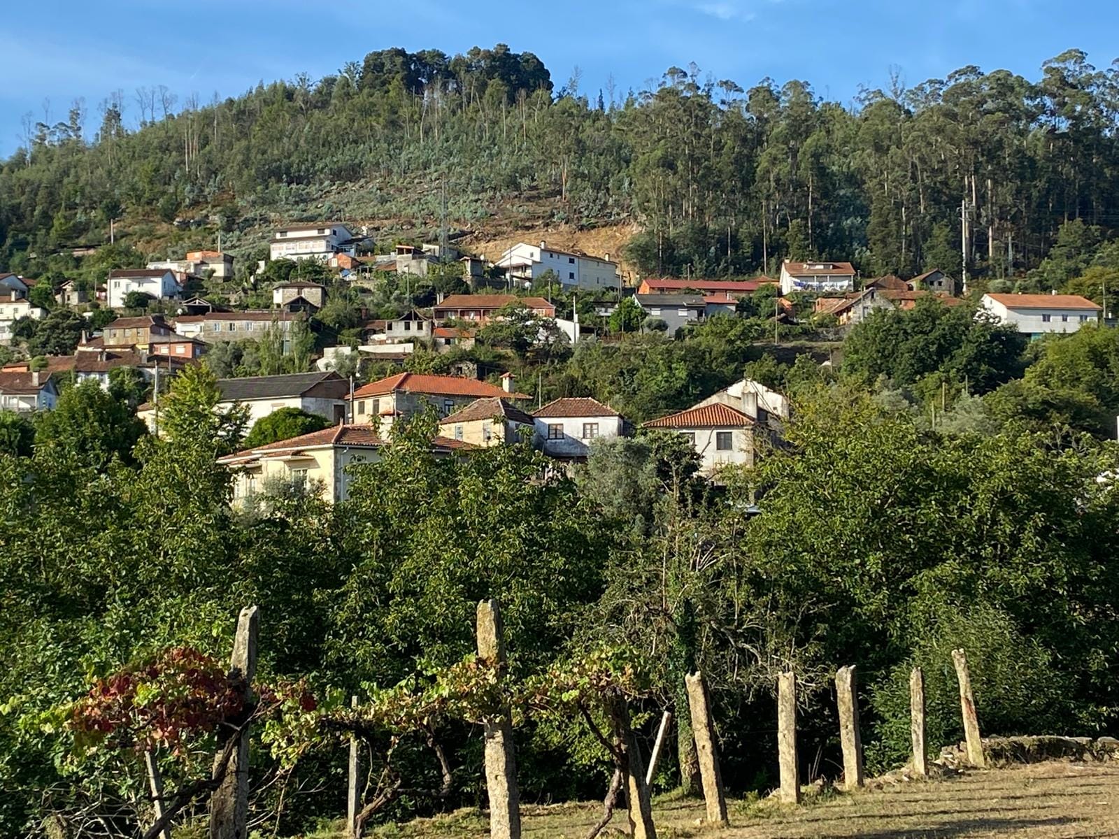 Vista sobre a aldeia e o vale de Lafões